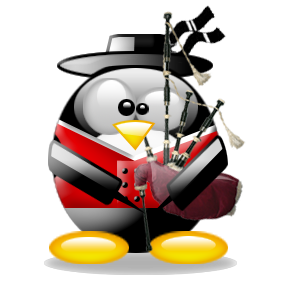 penguin pingouin pinguino 516